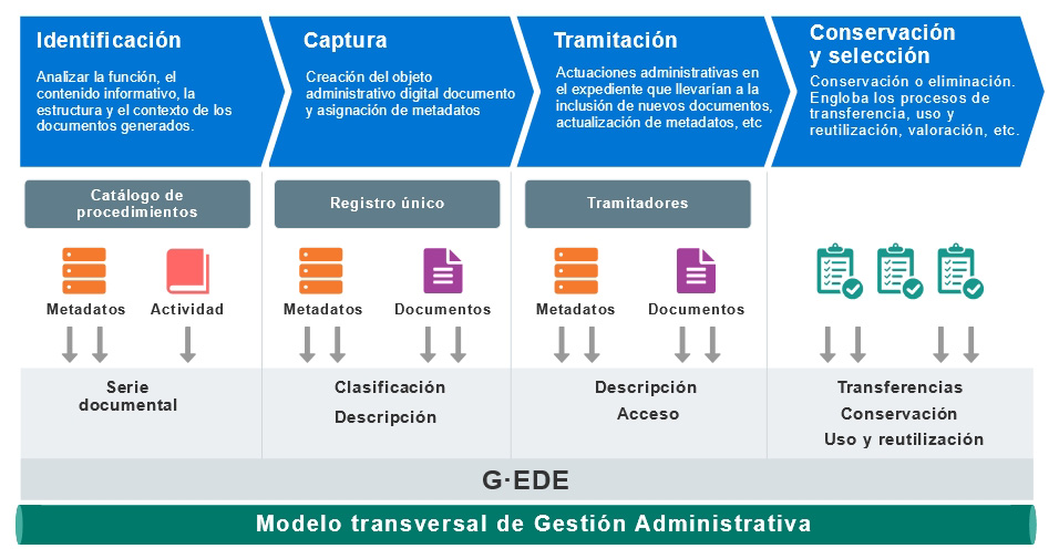 Esquema de las fases de G·EDE