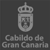 cabildo-gran-canarias