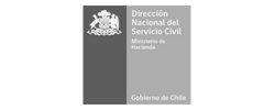 ServicioCivilCHILE